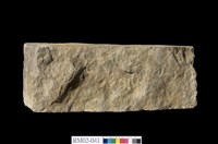 藏品(硬頁岩)的圖片